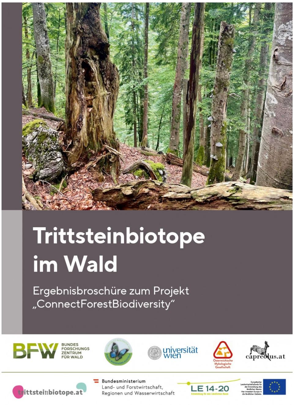 Trittstein Ergebnis